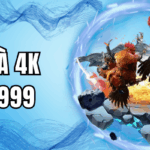 Đá gà 4K BET999 – Trải nghiệm cá cược chân thực, sống động