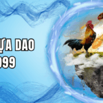 Đá gà cựa dao BET999 – Sân chơi dành cho tín đồ cá cược