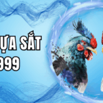 Đá gà cựa sắt BET999 – Kèo chọi gà hấp dẫn nhất châu Á