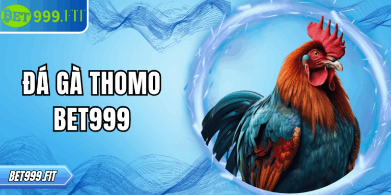 Đá gà Thomo BET999 – Cá cược đỉnh cao cho người mê chọi gà
