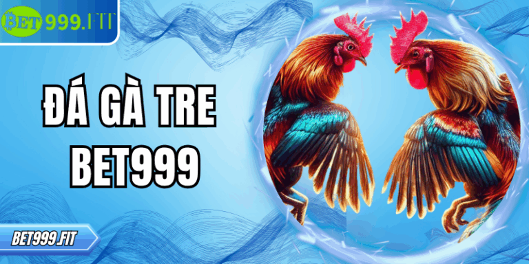 Đá gà tre BET999 – Sân chơi kịch tính cho mọi sư kê