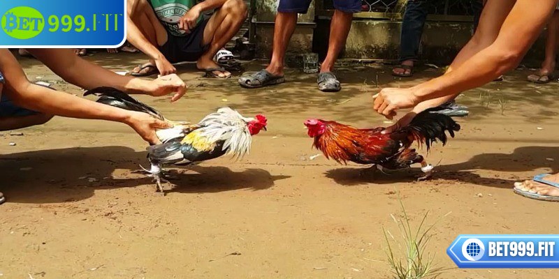 Nạp tiền vào tài khoản trước khi tham gia đặt cược