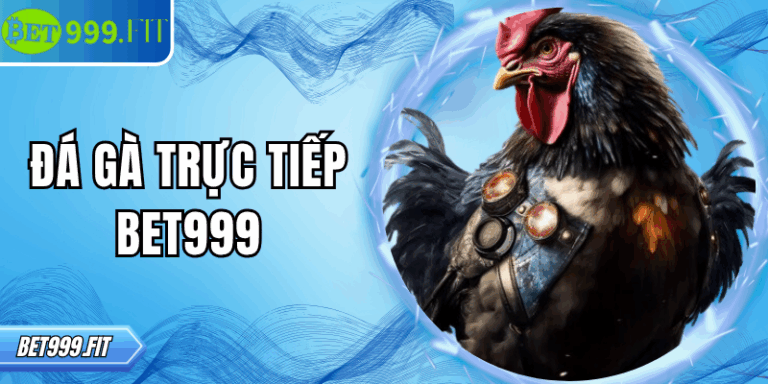 Đá gà trực tiếp BET999 – Giải trí hấp dẫn, nhận quà liền tay